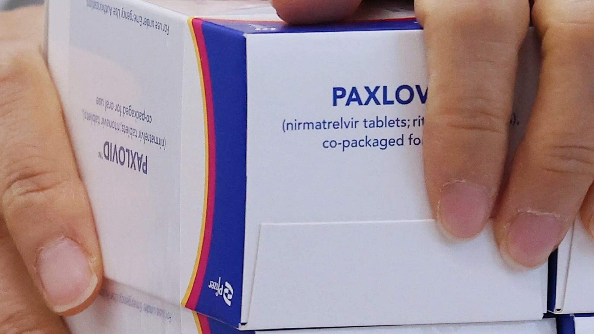 ¿Qué es Paxlovid? Cofepris aprueba venta del medicamento contra Covid-19