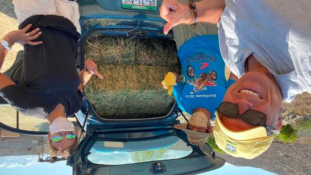 Listo. Cargados los 120 kilos de alfalfa para que coman las vacas y becerros de don José Inés