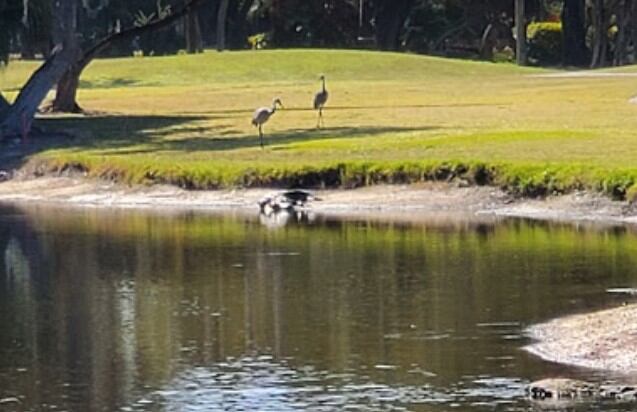 Boca Royale Golf and Country Club