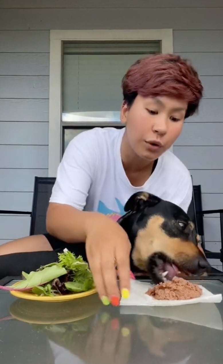 Asegura que su mascota es vegetariana