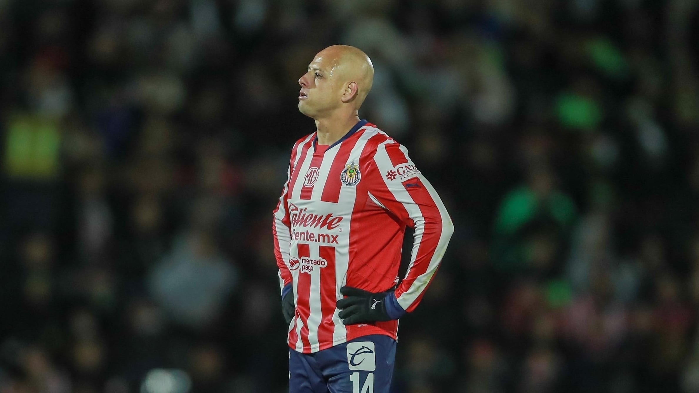 ¿Imposición? Chicharito Hernández será titular mientras Gerardo Espinoza sea el DT