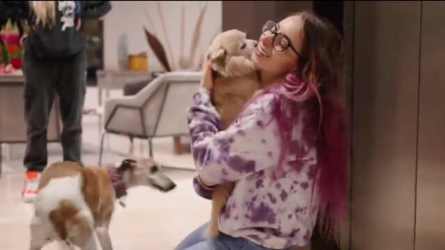 YosStop se reencuentra con sus perros