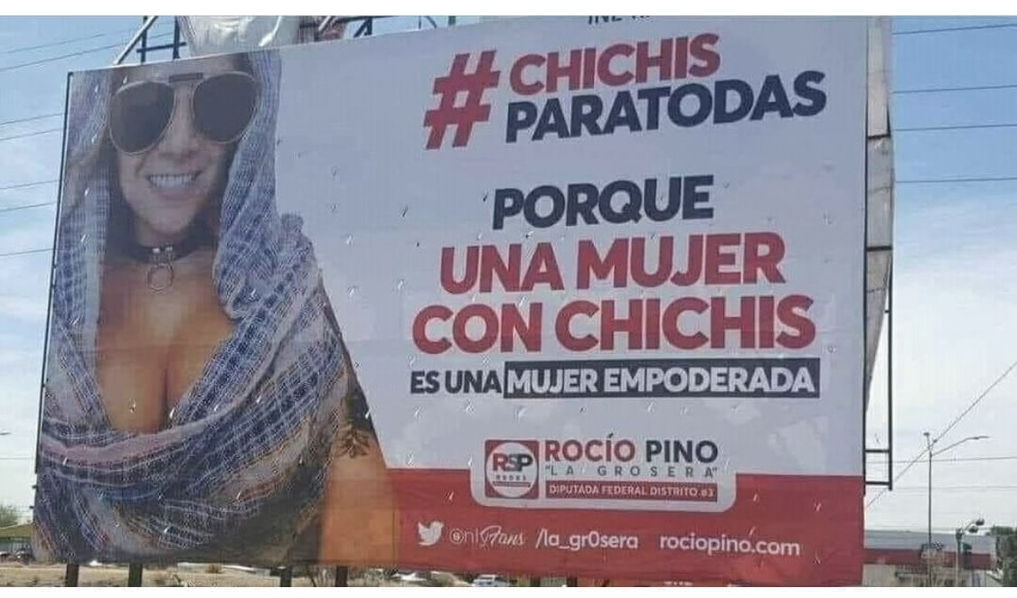 Candidata a Diputada Federal por el Distrito 3 Hermosillo, Sonora, por RSP.