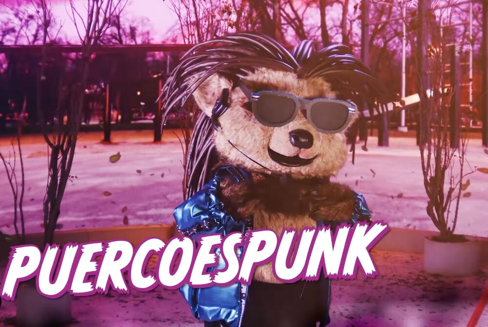 Puercoespunk