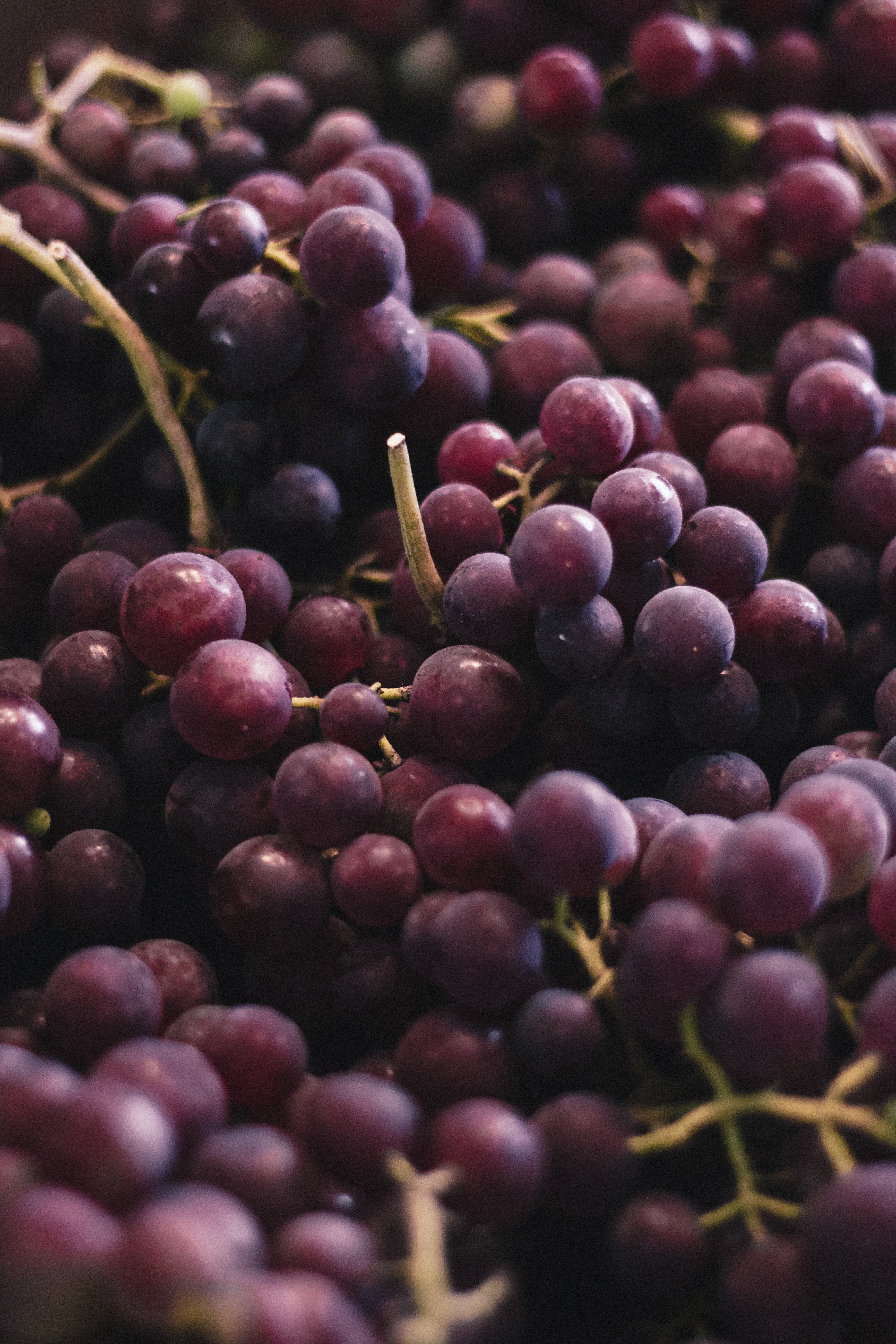 ¿Cómo se comen las uvas de Año Nuevo 2024?