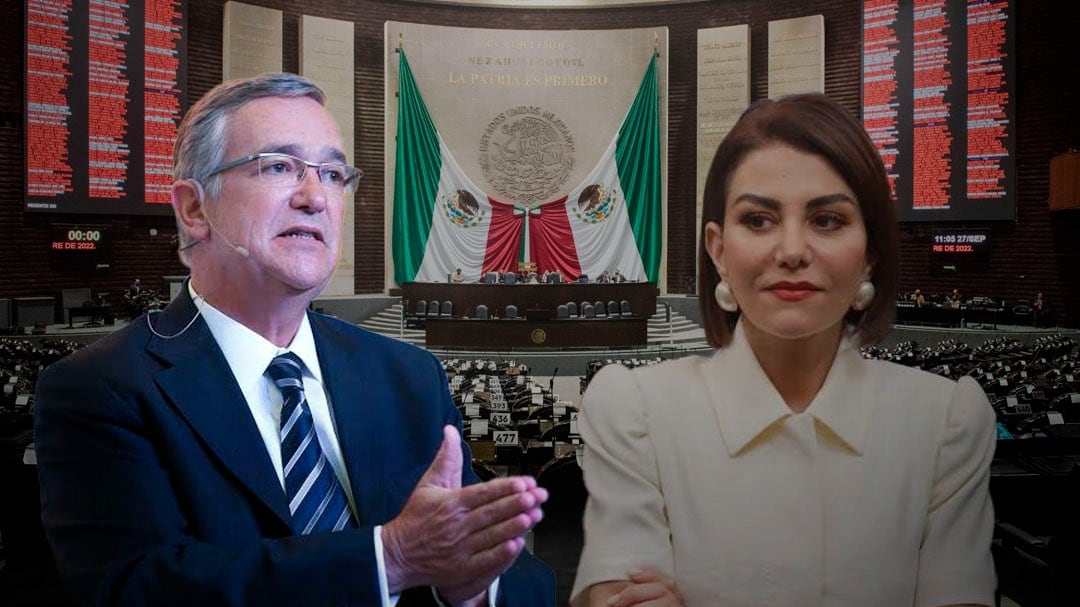 Ricardo Salinas Pliego acusa a Nay Salvatori de “amenazar y exponer” a ciudadano; senadora responde con invitación al Congreso y remata con sarcástico comentario