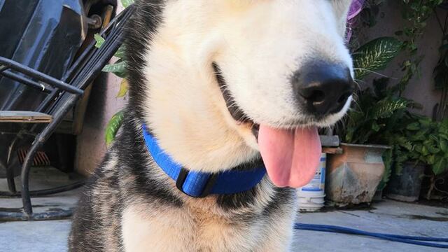 Max vendía cupcakes para costear sus quimioterapias