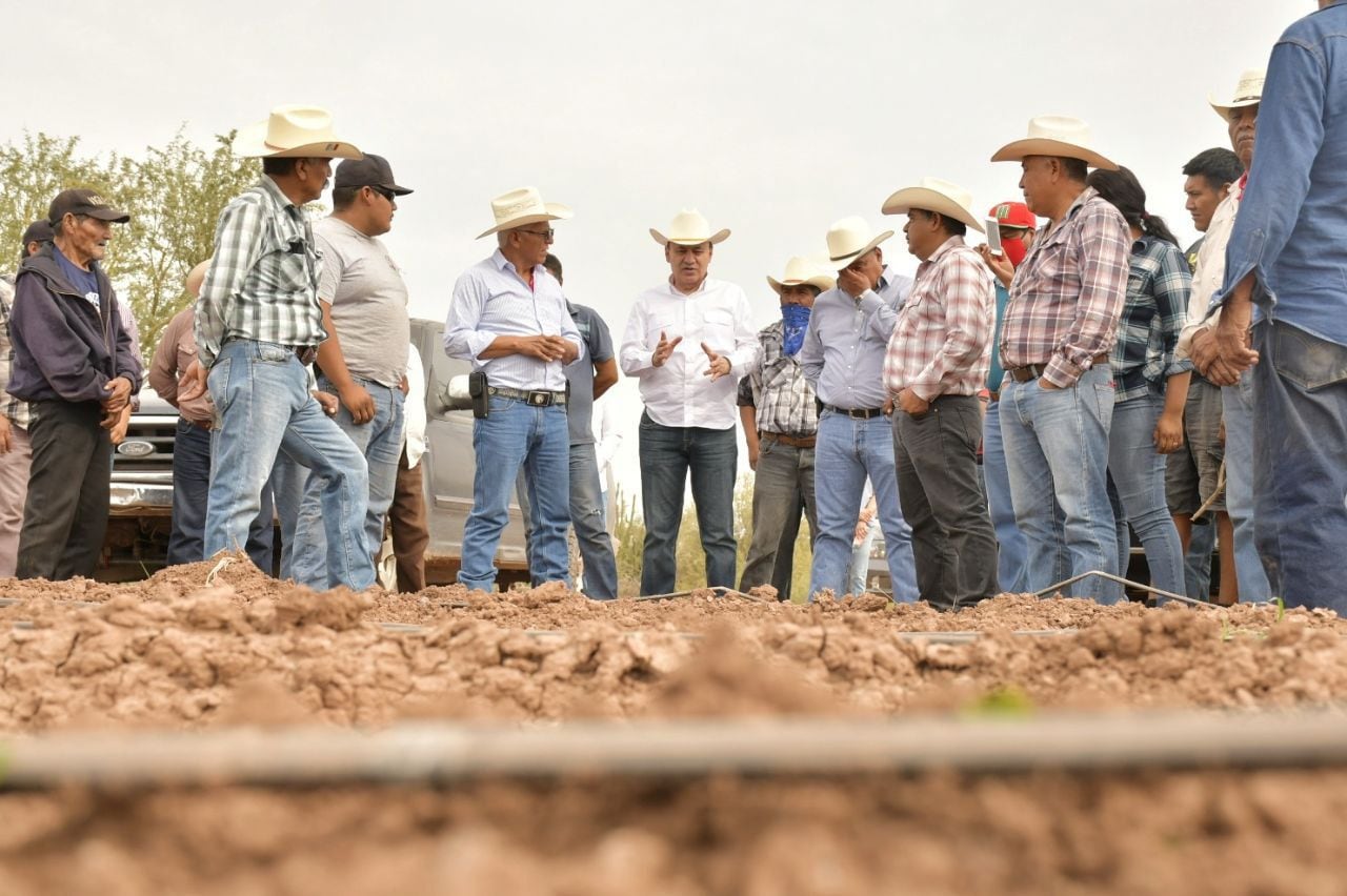 Alfonso Durazo impulsa al campo de Sonora; actividad primaria crece 18%