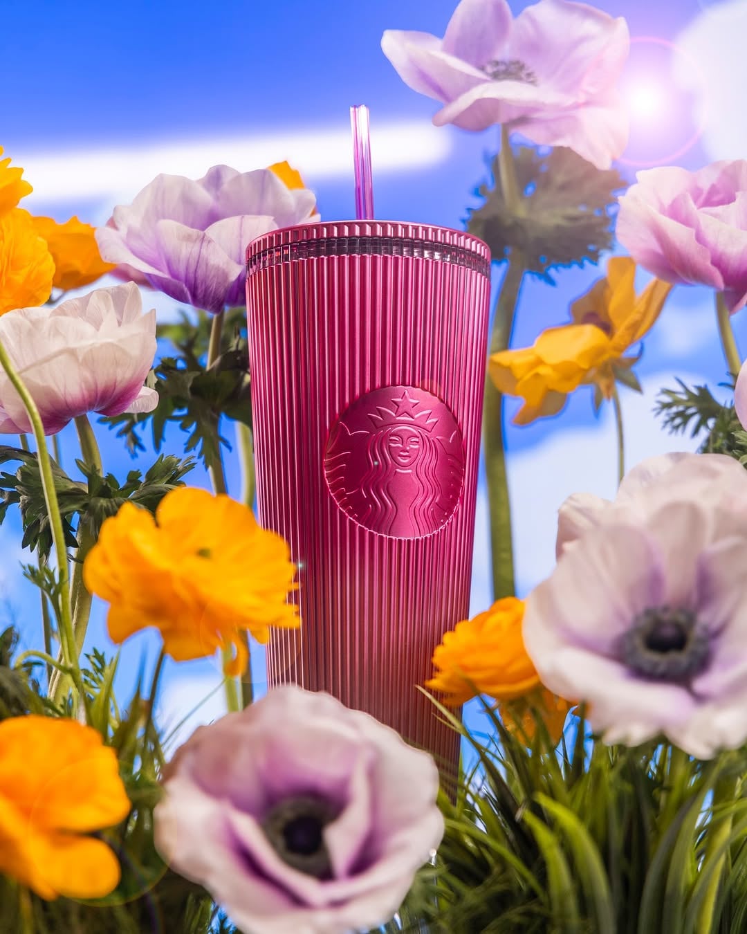 Vasos y termos de Starbucks: Colección primavera 2025