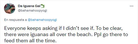 Maestra de yoga es mordida por iguana.