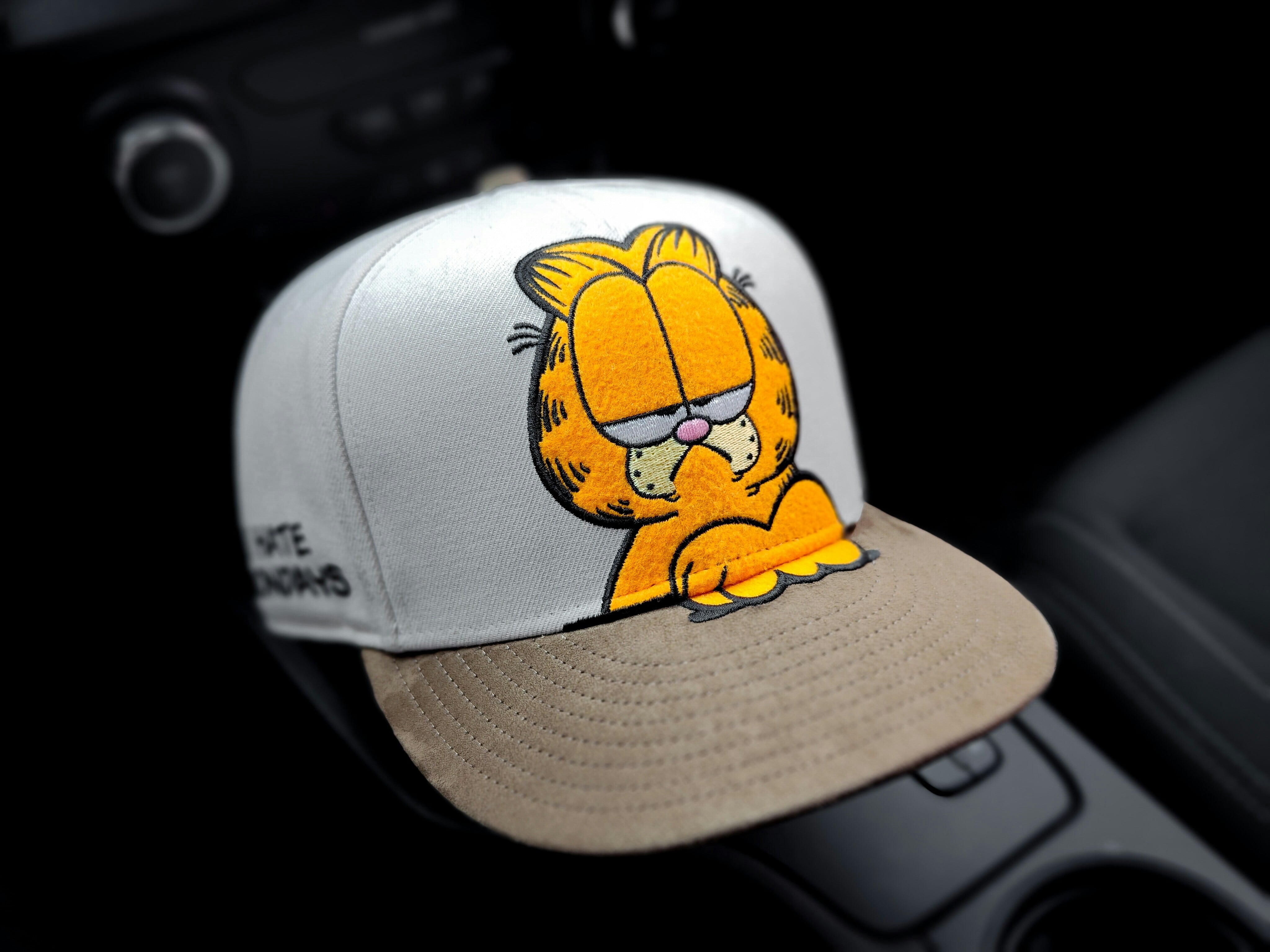 Día Mundial de Garfield