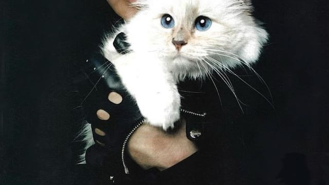 Karl Lagerfeld y Choupette, la gata que inspiró a artistas en la Met Gala 2023