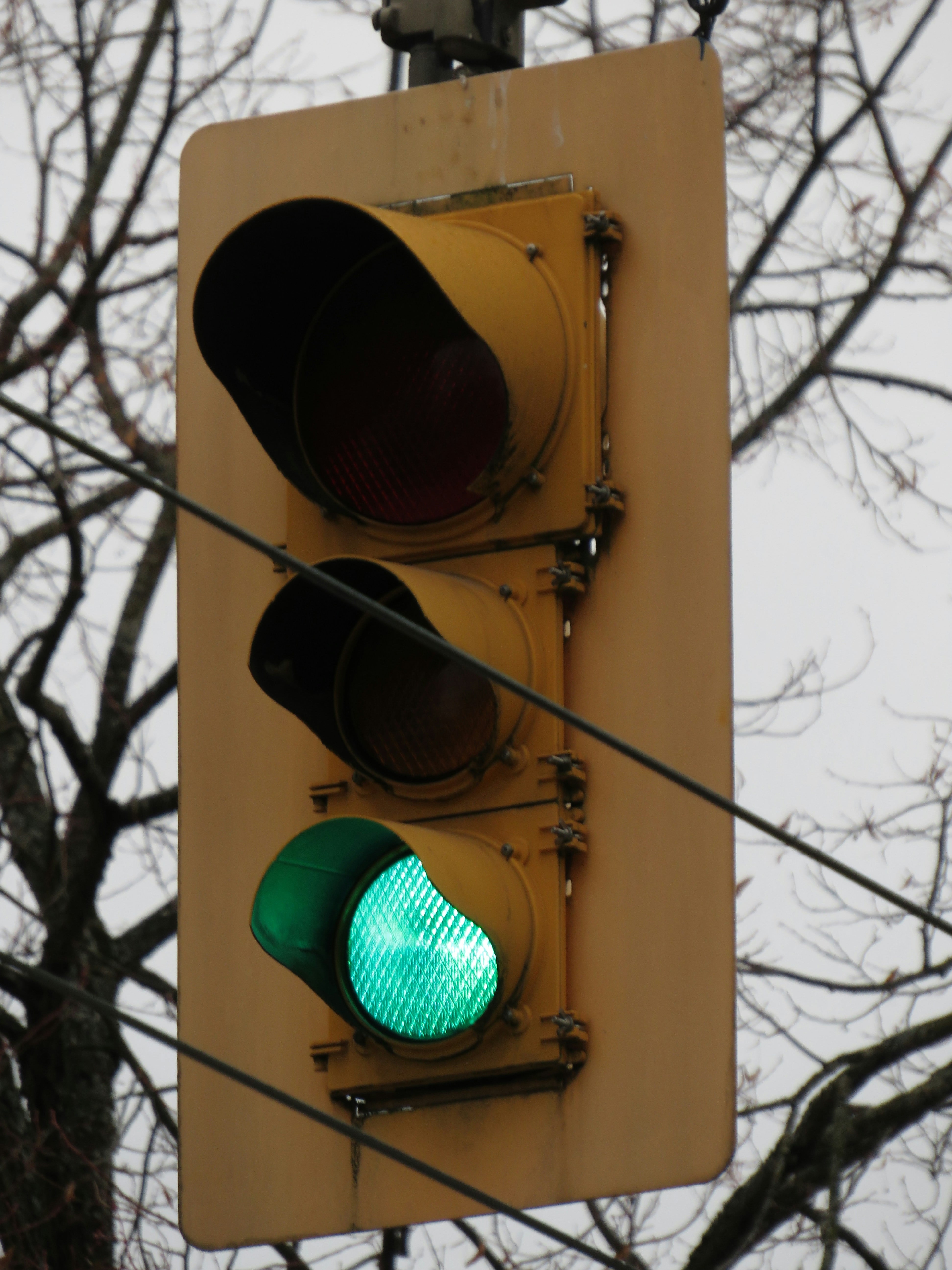 Este 5 de agosto es el Día del Semáforo