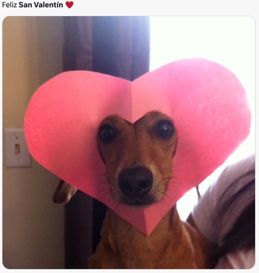Los memes del Día de San Valentín