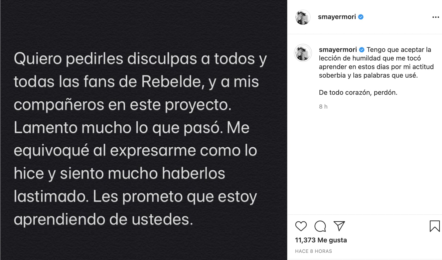 Mensaje de disculpa de Sergio Mayer Mori