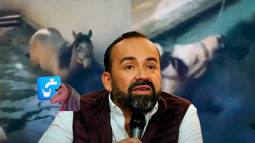 Caballos de Sergio Chávez, alcalde de Tonalá, se ejercitan en agua limpia