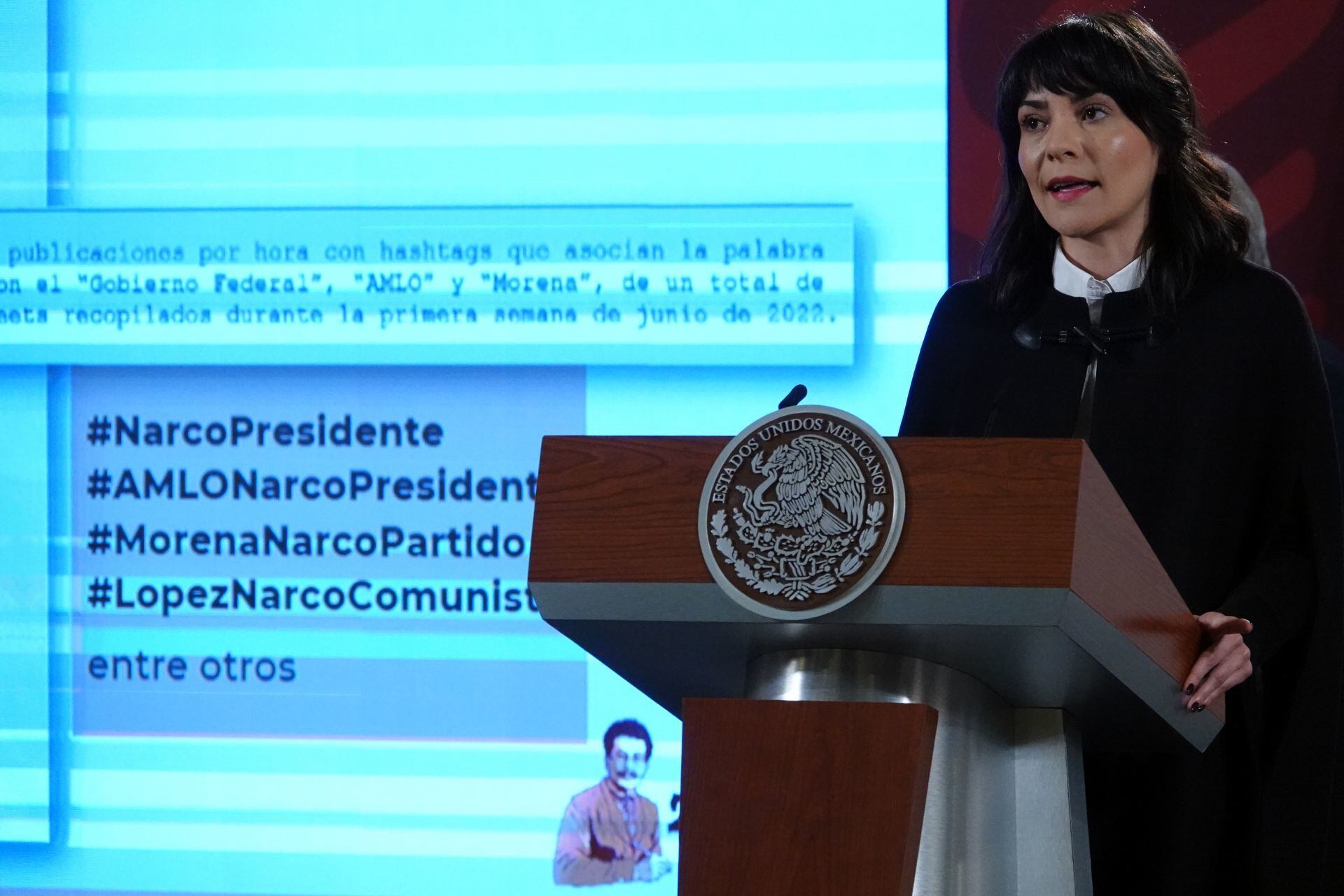 Ana Elizabeth García Vilchis