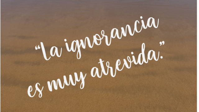 Los mexicanos debemos estudiar mucho, desterrar la ignorancia. Aún más, innovar procesos. Sin duda, luego del actual sexenio habrá mucho que reconstruir