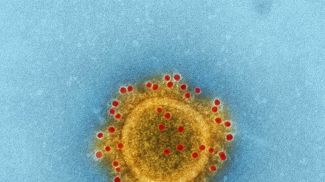 Coronavirus