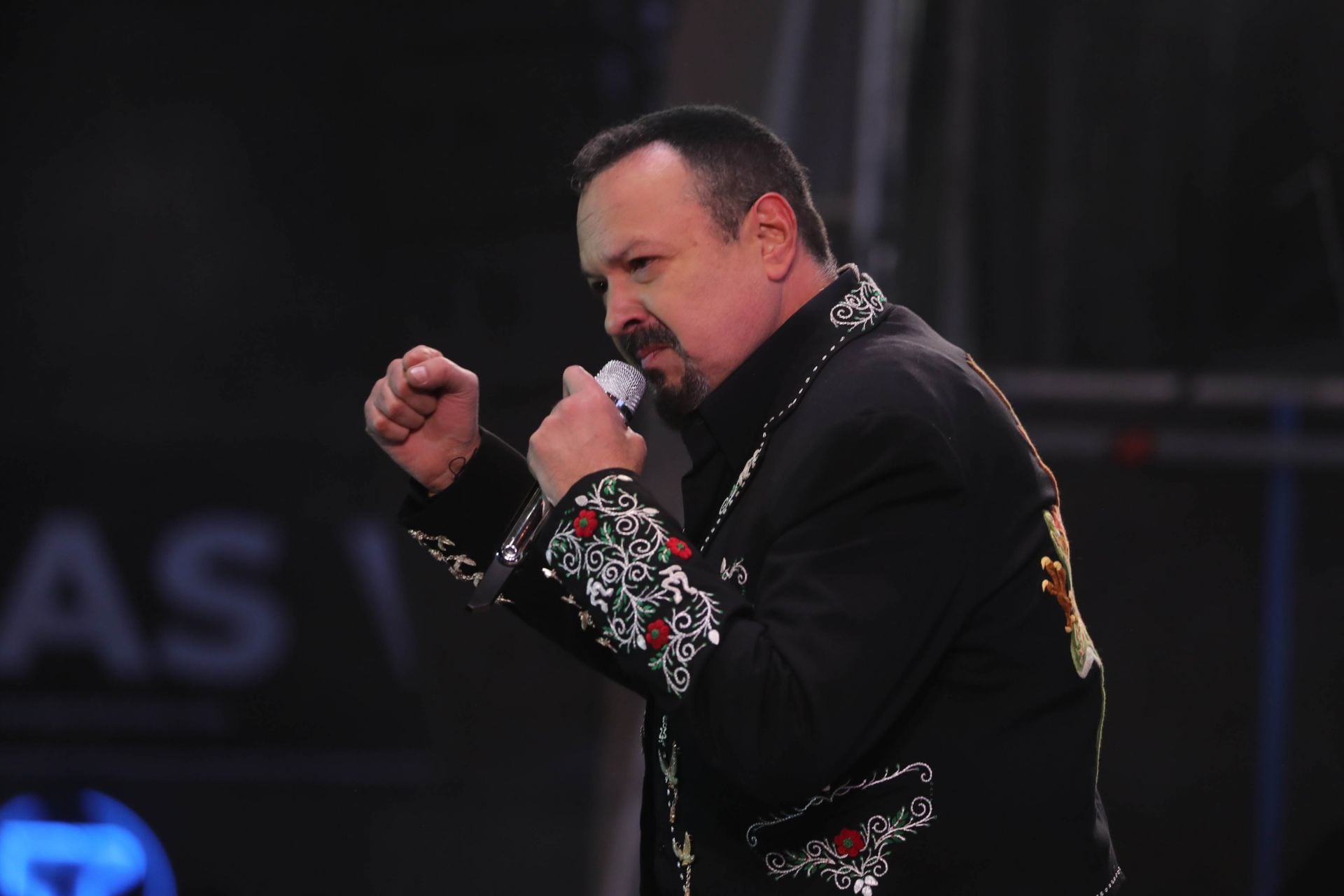 Pepe Aguilar, cantante.