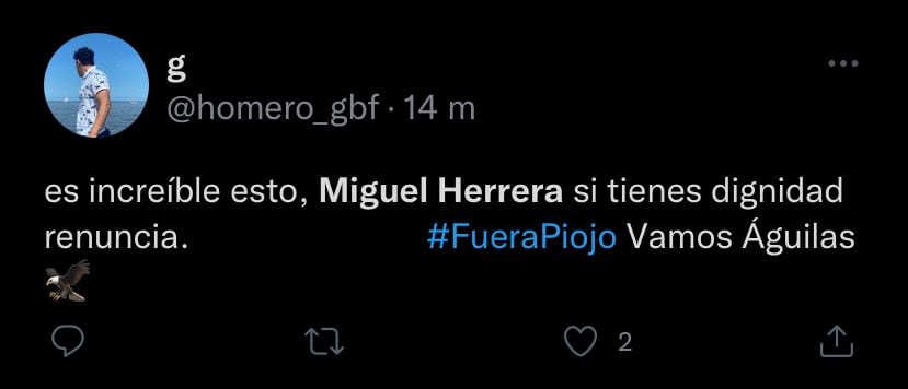 Aficionados de Tigres piden la salida inmediata de Miguel Herrera.
