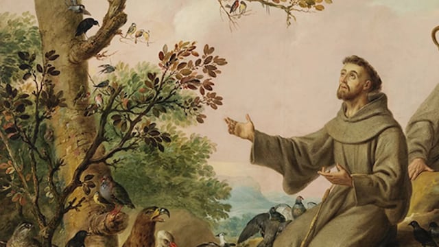La oración de San Francisco de Asís para animales enfermos que puedes hacer hoy 4 de octubre