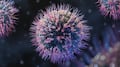 Norovirus: síntomas, contagio y qué tan peligroso es