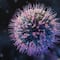 Norovirus: síntomas, contagio y qué tan peligroso es