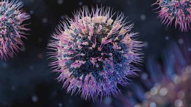 Norovirus: síntomas, contagio y qué tan peligroso es