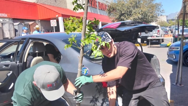 Monterrey entrega 400 árboles nativos en la 14ª edición de “Adopta un Árbol”