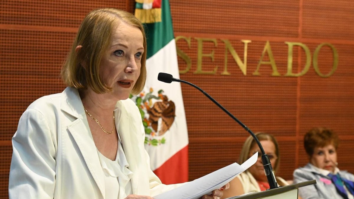 Laura Itzel Castillo acusa omisión de la ONU tras informe sobre ...