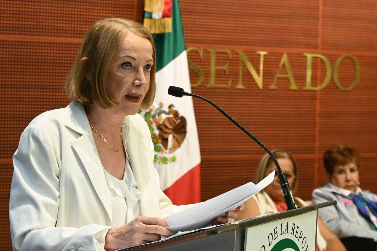 Laura Itzel Castillo