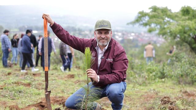 Alfredo Ramírez Bedolla lidera reforestación histórica en Michoacán