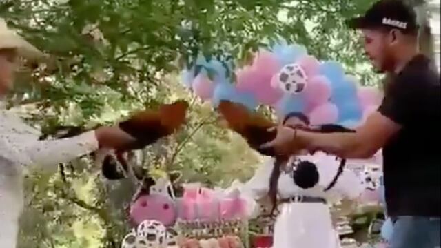Pelea de gallos en baby Shower