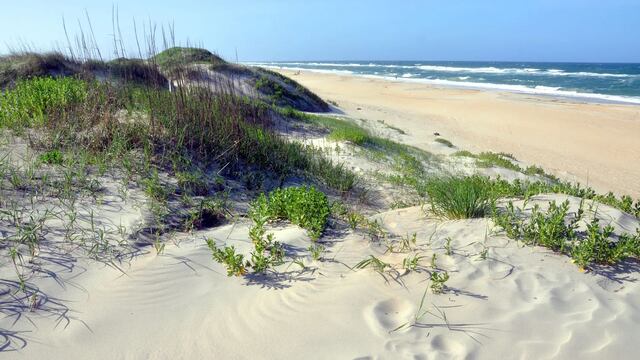 Playa Cape Hatteras National Seashore