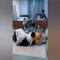 VIDEO: Amante y esposa se encuentran en hospital y protagonizan pelea