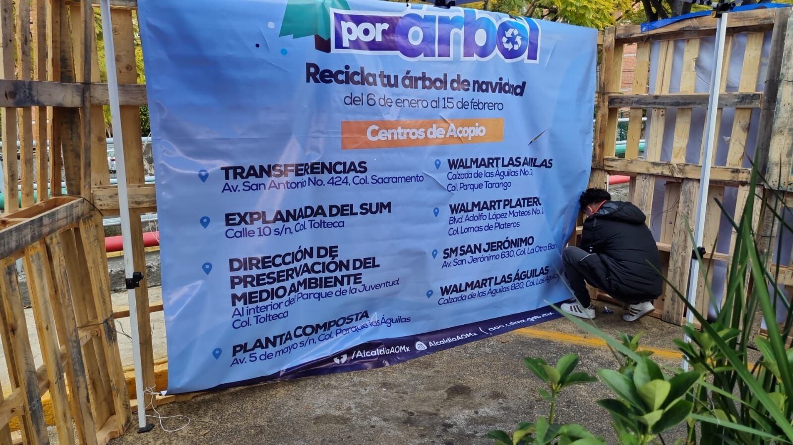 Campaña ‘Árbol por árbol 2024’ en Álvaro Obregón