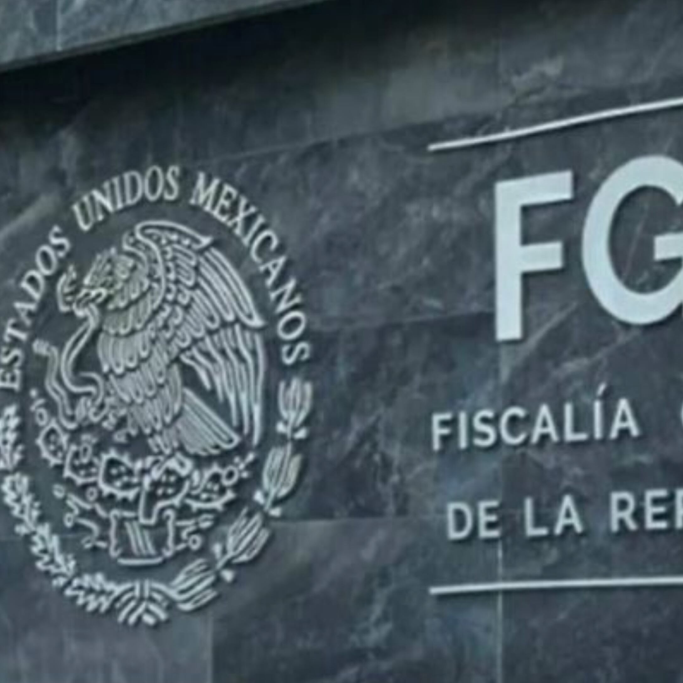 Otro perro oso de la FGR