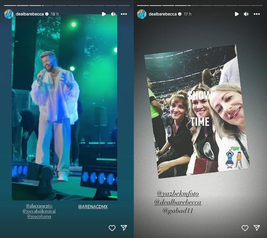 Rebecca de Alba fue a concierto de su ex pareja Ricky Martin