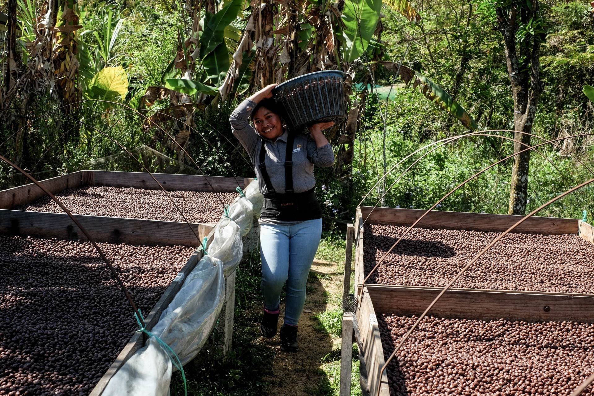 Café mexicano será defendido