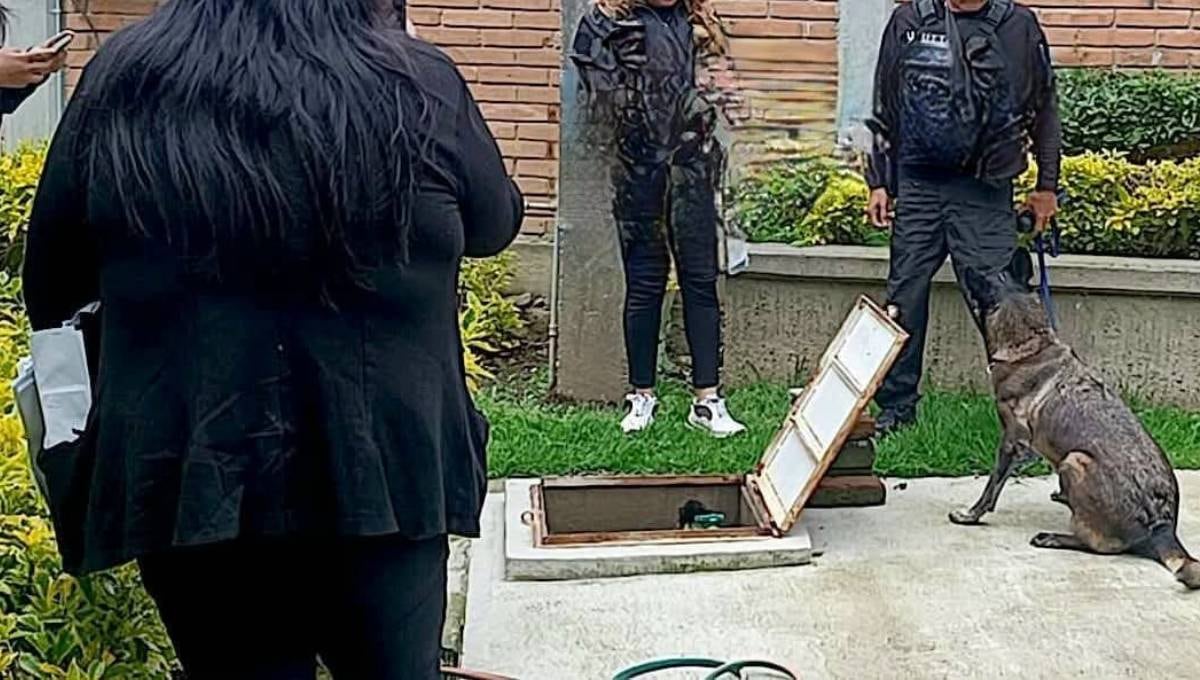 Itzel Díaz González fue encontrada en una cisterna