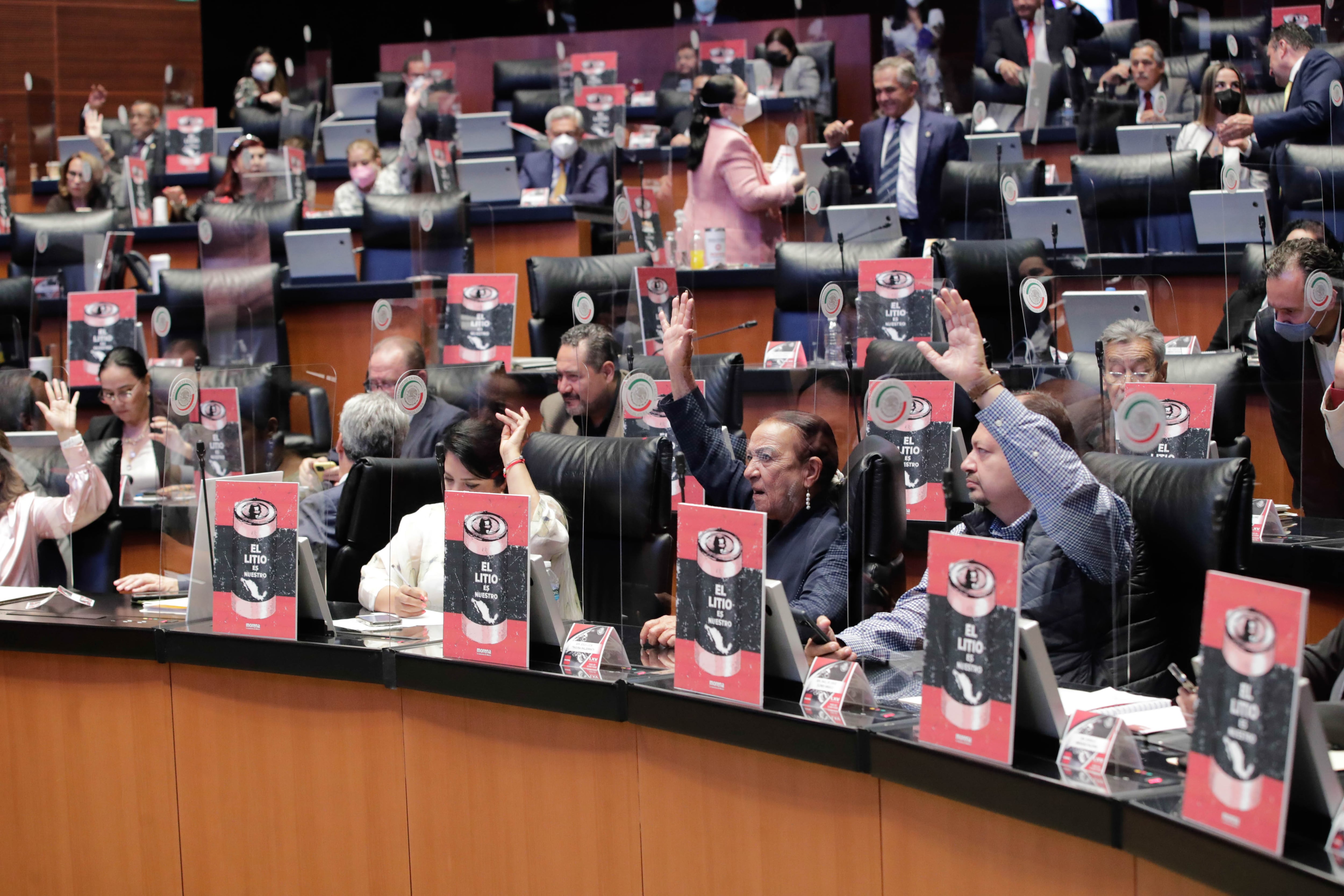 Votación del litio