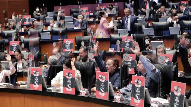Votación del litio
