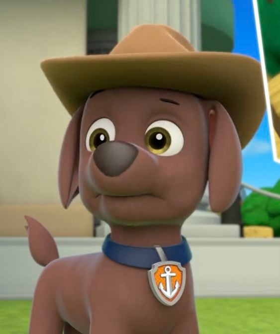 ¿Qué raza es Zuma de Paw Patrol?