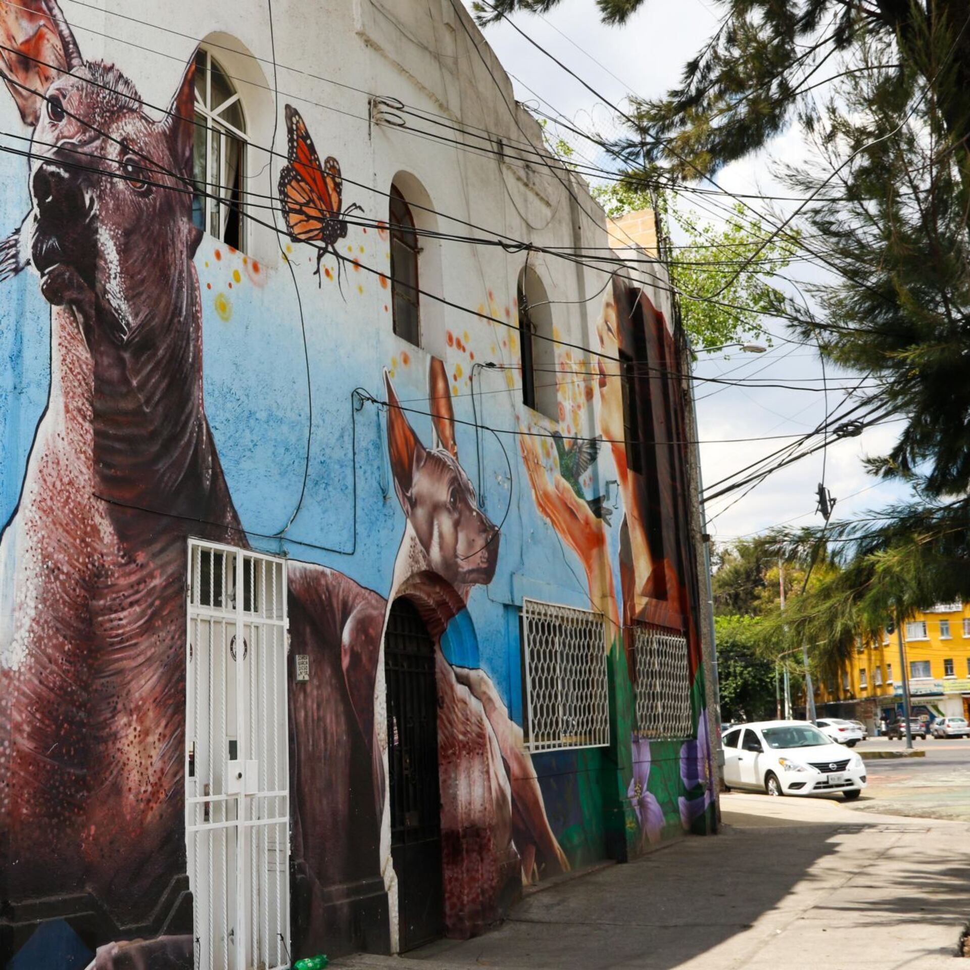 Viviendas de alquiler en CDMX: ¿adiós a los abusos?