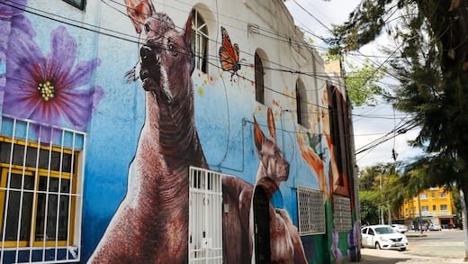 Viviendas de alquiler en CDMX: ¿adiós a los abusos?