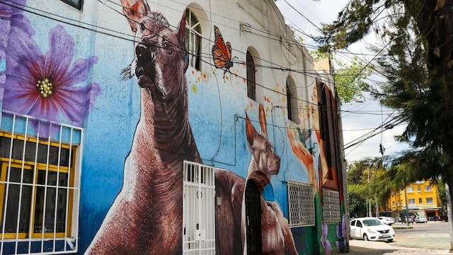 Murales en viviendas de la calle doctor Erazo en la alcaldía Cuauhtémoc