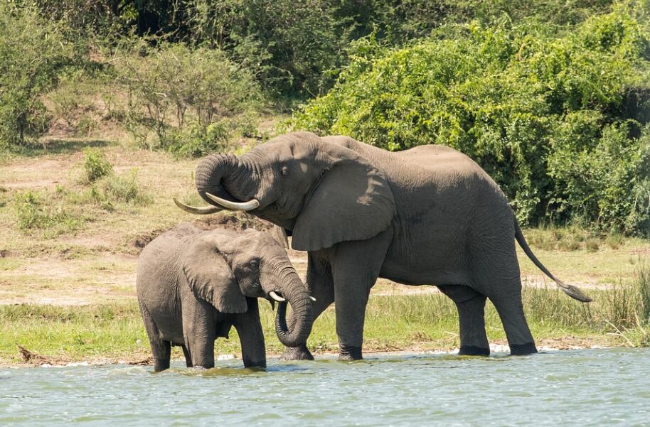 Uganda