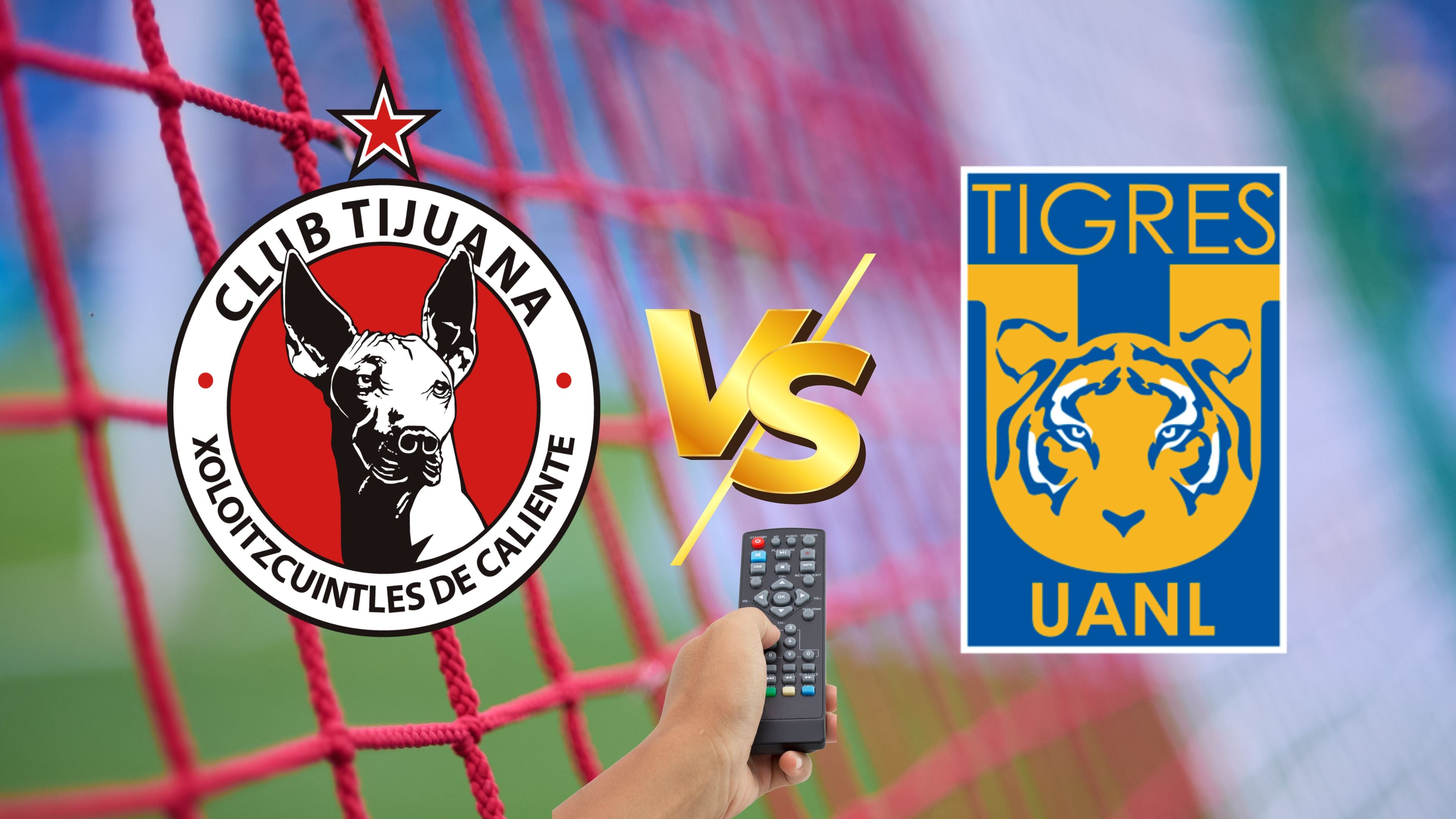 Tijuana vs Tigres: Día, hora y canal para ver la Jornada 15 de Liga MX Femenil