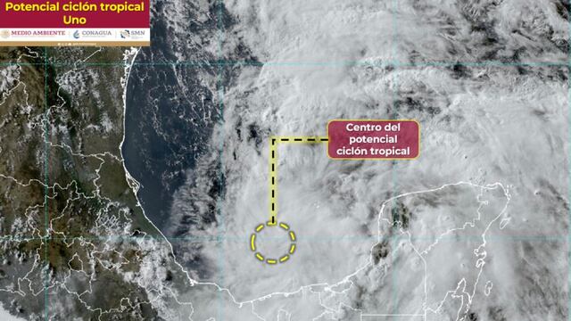 Huracán Alberto en vivo: Alerta Máxima en Nuevo León